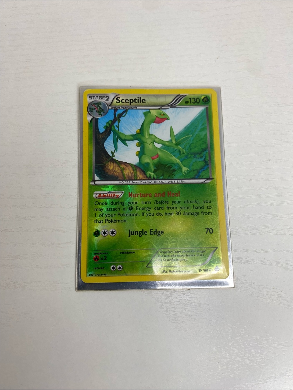 Pokemon - Sceptile (8/160) - XY Primal Clash - Reverse Holo